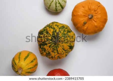 Immerse in the autumn harvest ambiance. Top view picture reveals ripe pumpkins on a white isolated background. Space for text or ads to encapsulate the fall concept.