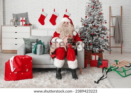 Santa Claus and cute French bulldog wearing pet clothes in room decorated for Christmas
