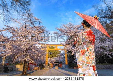 Young Japanese woman in a traditional Kimono dress strolls by Hirano-jinja Shrine in Kyoto, Japan during full bloom cherry blossom season Royalty-Free Stock Photo #2389431875
