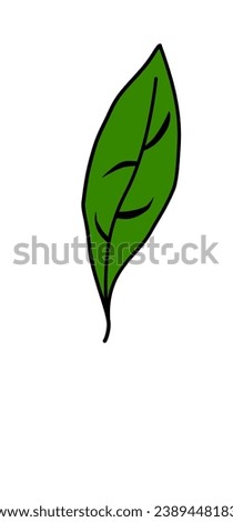 leaf design for illustration example