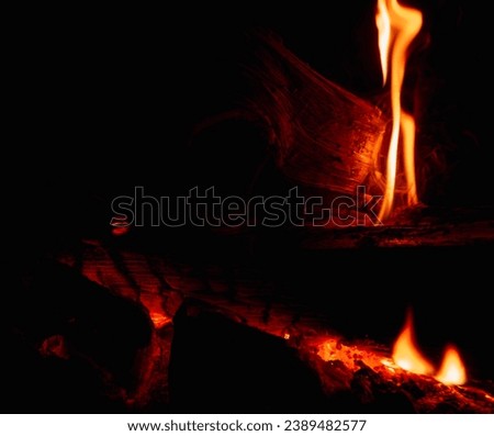 Wood fire burning in the fireplace