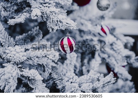 Merry x-mas,Close up of Colorful balls ,gifts box and Christmas greeting picture parcel, on white snow Green Christmas tree background Decoration During Christmas and New Year.
