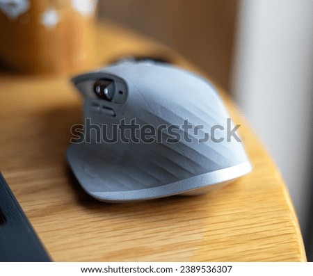 Productivity picture of a computer mouse