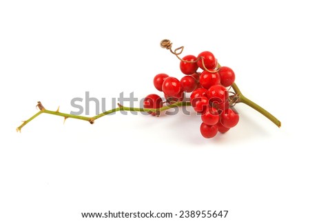 Red berry isolated on white background