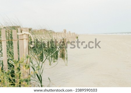 Sand Dune fence on the coast of Edisto Island SC Royalty-Free Stock Photo #2389590103