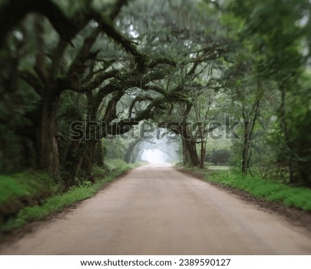 Oak Tree tunnel road to Botany Bay Plantation in Edisto Island Royalty-Free Stock Photo #2389590127