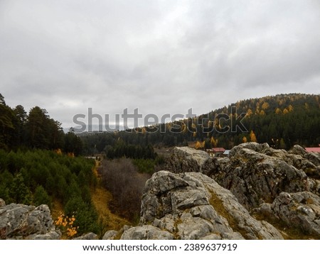 Autumn landscape with mountains. Fresh and relax type nature image