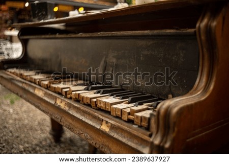 A closeup of an old, mossy piano, with wooden texture and blurred background