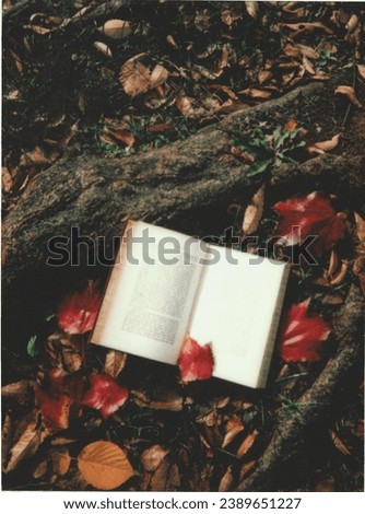 A book on the ground with red leaves