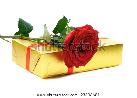 Photo of single red rose and gift isolated over white background