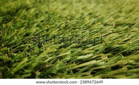 close up background of a green lawn