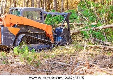 During forest clearing contractor used tracked general purpose forestry mulcher Royalty-Free Stock Photo #2389675115