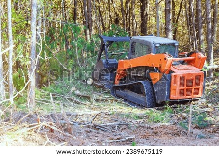 Tracked general purpose forestry mulcher was used by contractor to clean forest Royalty-Free Stock Photo #2389675119