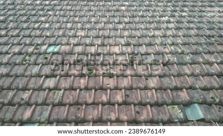 The roof tiles of the house are a little worn and mossy