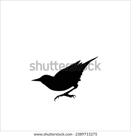 Bird silhouette sotck vector illustration