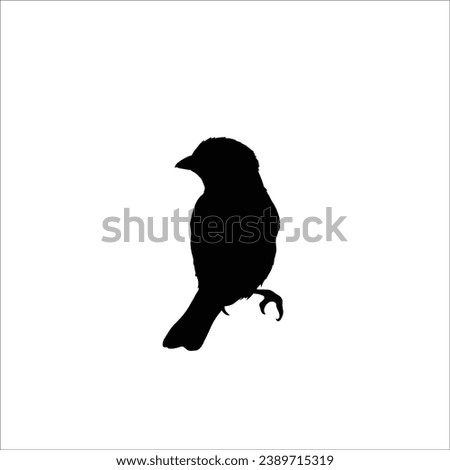 Bird silhouette sotck vector illustration