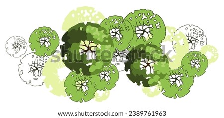 Group of trees for architectural floor plans. Entourage design. Various trees, bushes, and shrubs, top view for the landscape design plan. Vector illustration.