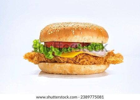 Chicken fillet sandwich photography in studio Royalty-Free Stock Photo #2389775081
