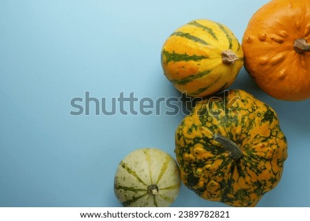 Autumn frame from different pumpkins on a blue background. Fall, Halloween and Thanksgiving.  Flat lay. Top view , space for text.