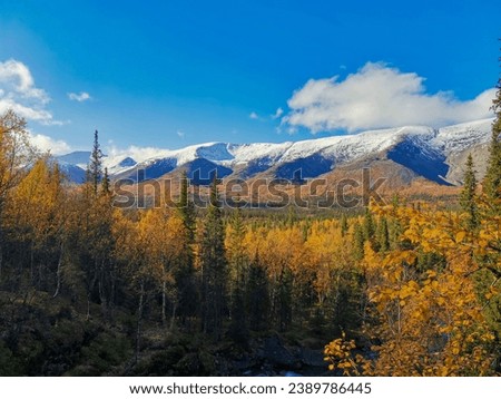 Autumn Arctic landscape in the Khibiny mountains. Kirovsk, Kola Peninsula, Polar Russia. Autumn colorful forest in the Arctic, Mountain hikes and adventures