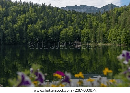 Breathtaking View over Lake TOPLITZ (Toplitzsee, Austria, Europe)