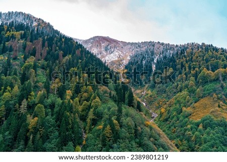 Beautiful autumn trees. View from above of autumn deciduous forest in yellow and orange colors.Forest with colorful leaves on a calm autumn day.