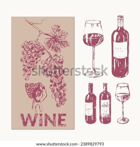 Hand drawn wine illustration. Wine bottles, glass, grapes, vine. For wine and drinks menu list, labels and packaging, party invitation.