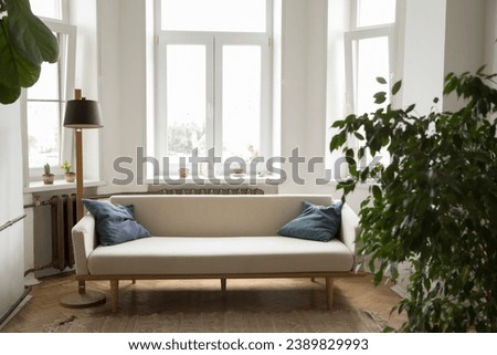 Empty living room with comfortable couch green houseplant and lamp, no people. Cozy living room illuminated by daylight. Dwelling for rent, tenancy, modern furniture store advertisement, bank mortgage Royalty-Free Stock Photo #2389829993