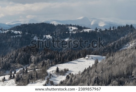 Winter view of the Borzhava ridge from the Synevyr pass in Carpathian Mountains, Ukraine