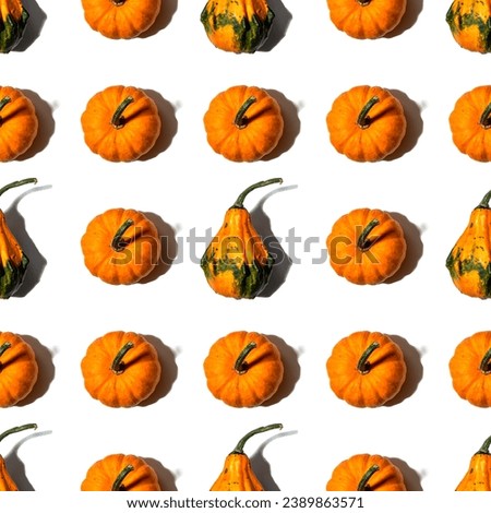 seamless pattern pumpkins on a white background. Concept autumn, harvest
