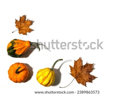 Three different pumpkins on a white background. Concept autumn, harvest