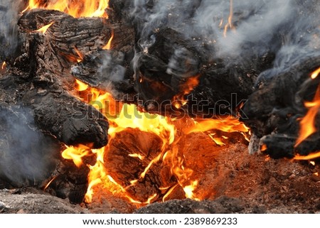 A fascinating picture of the center of the fire: yellow - heat, red - fire, black - wood, white - smoke. Use as a background.