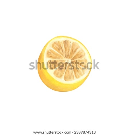 Lemon. Watercolor illustration. Citrus fruits. Vitamins in food. Healthy eating. Template, composition for printing.