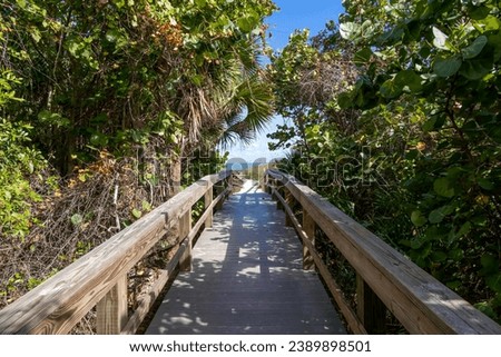 A boardwalk leads through lush greenery towards the Atlantic Ocean at Lori Wilson Park (Cocoa Beach), Florida. Royalty-Free Stock Photo #2389898501