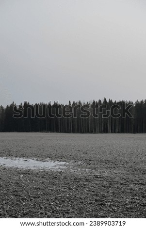 Moody view of a frosty field and the border of the woods in the horizon. Cloudy grey blue sky. Morning mist during an early morning. Late autumn, early winter in Finland, Northern Europe.  Royalty-Free Stock Photo #2389903719