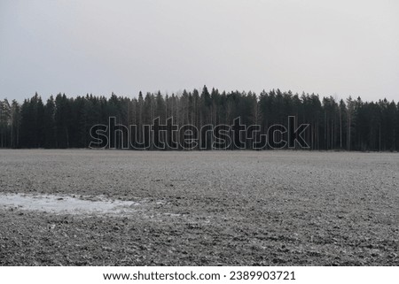 Moody view of a frosty field and the border of the woods in the horizon. Cloudy grey blue sky. Morning mist during an early morning. Late autumn, early winter in Finland, Northern Europe.  Royalty-Free Stock Photo #2389903721