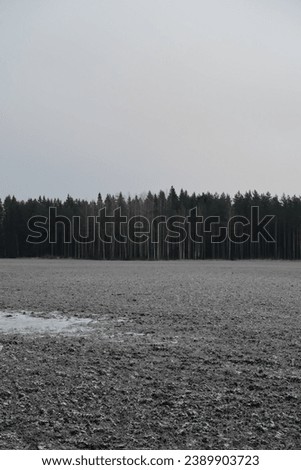 Moody view of a frosty field and the border of the woods in the horizon. Cloudy grey blue sky. Morning mist during an early morning. Late autumn, early winter in Finland, Northern Europe.  Royalty-Free Stock Photo #2389903723
