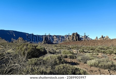 Surroundings of Teide. Volcano located on the Spanish island of Tenerife, you can see the inhospitable terrain, blue sky, large rocks of volcanic origin and typical vegetation. Royalty-Free Stock Photo #2389905997
