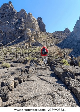 Surroundings of Teide. Volcano located on the Spanish island of Tenerife, you can see the inhospitable terrain, blue sky, large rocks of volcanic origin and typical vegetation. Royalty-Free Stock Photo #2389908331