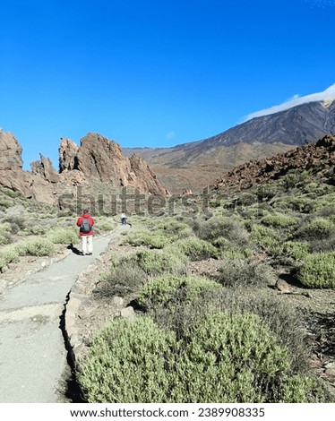 Surroundings of Teide. Volcano located on the Spanish island of Tenerife, you can see the inhospitable terrain, blue sky, large rocks of volcanic origin and typical vegetation. Royalty-Free Stock Photo #2389908335