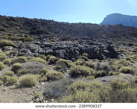 Surroundings of Teide. Volcano located on the Spanish island of Tenerife, you can see the inhospitable terrain, blue sky, large rocks of volcanic origin and typical vegetation. Royalty-Free Stock Photo #2389908337