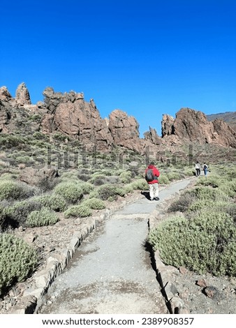 Surroundings of Teide. Volcano located on the Spanish island of Tenerife, you can see the inhospitable terrain, blue sky, large rocks of volcanic origin and typical vegetation. Royalty-Free Stock Photo #2389908357