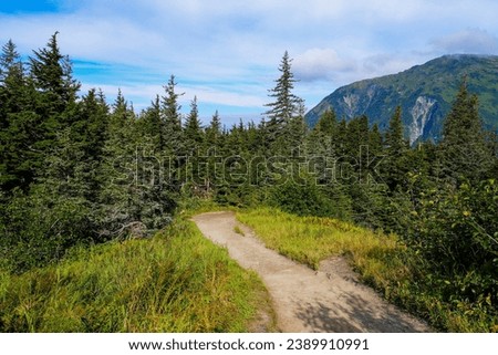 Hiking trail in a pine forest on top of Mount Roberts above Juneau, the capital city of Alaska, USA Royalty-Free Stock Photo #2389910991