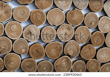 Decorative log wood background. Textured surface with rings, tree trunk slices.Cutting of round teak wood stump.