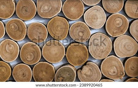 Decorative log wood background. Textured surface with rings, tree trunk slices.Cutting of round teak wood stump.