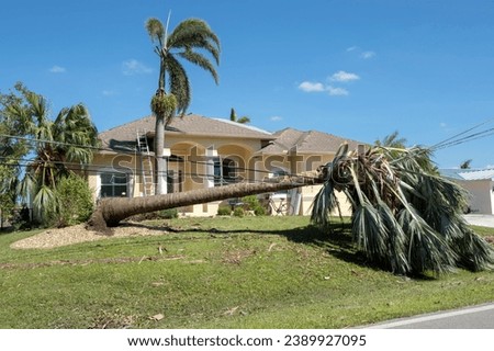 Electricity outage as consequences of natural disaster. Damaged power lines after hurricane wind broke tree limbs in Florida suburban area Royalty-Free Stock Photo #2389927095