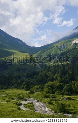 Vertical landscape with a beautiful green mountain valley and a river.