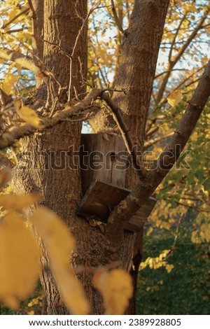 Closeup of wooden birdhouse on a tree in a park. Orange and yellow leaves on a branch in the foreground. Colorful autumn vertical picture. Late fall sunny afternoon.