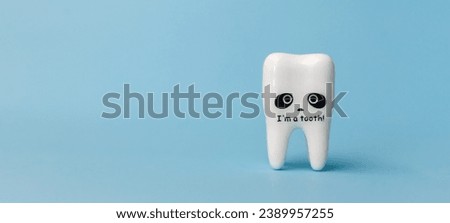 White tooth model on blue background. Space for text. Copy space. Close up. Dental health concept. Flat lay. Stomatology. Place for text. Oral health and dental inspection teeth. Dentistry.