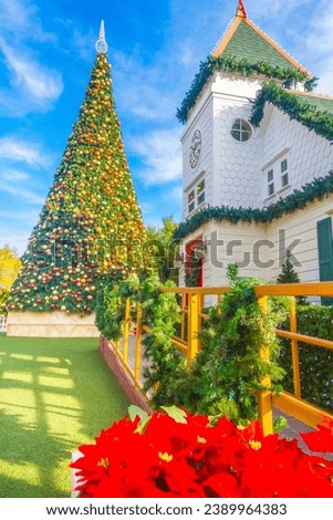 christmas tree by house and flowers